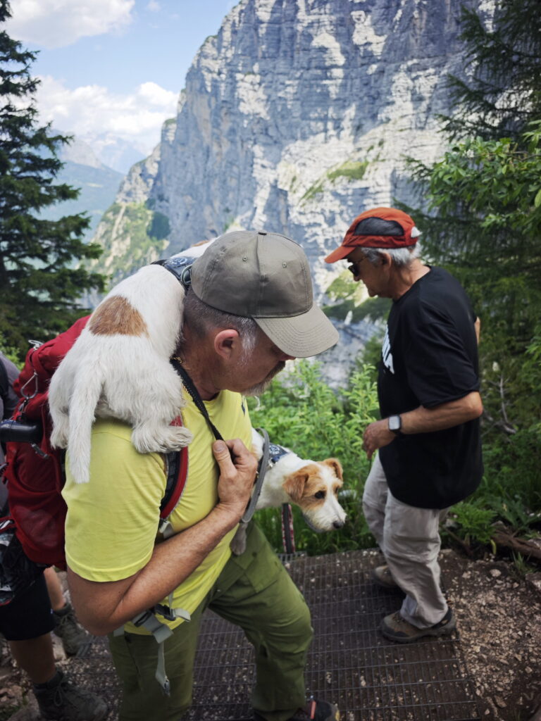 Lago di Sorapis mit Hund - wenn es dein Hund nicht mehr schafft, musst du ihn tragen